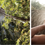 Playful & Practical | Add an Outdoor Shower to your Lake Property