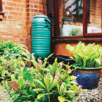 Water Works | Gather Rain for Garden Use