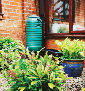 Water Works | Gather Rain for Garden Use