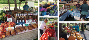 Locavore Alert | Outdoor Markets at SML