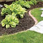 Mulch Matters | The Many Benefits for Lakeside Landscapes