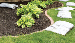 Mulch Matters | The Many Benefits for Lakeside Landscapes