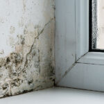 Banish Mold & Mildew | With Dry, Airy Fixes